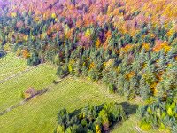 Beskid Niski